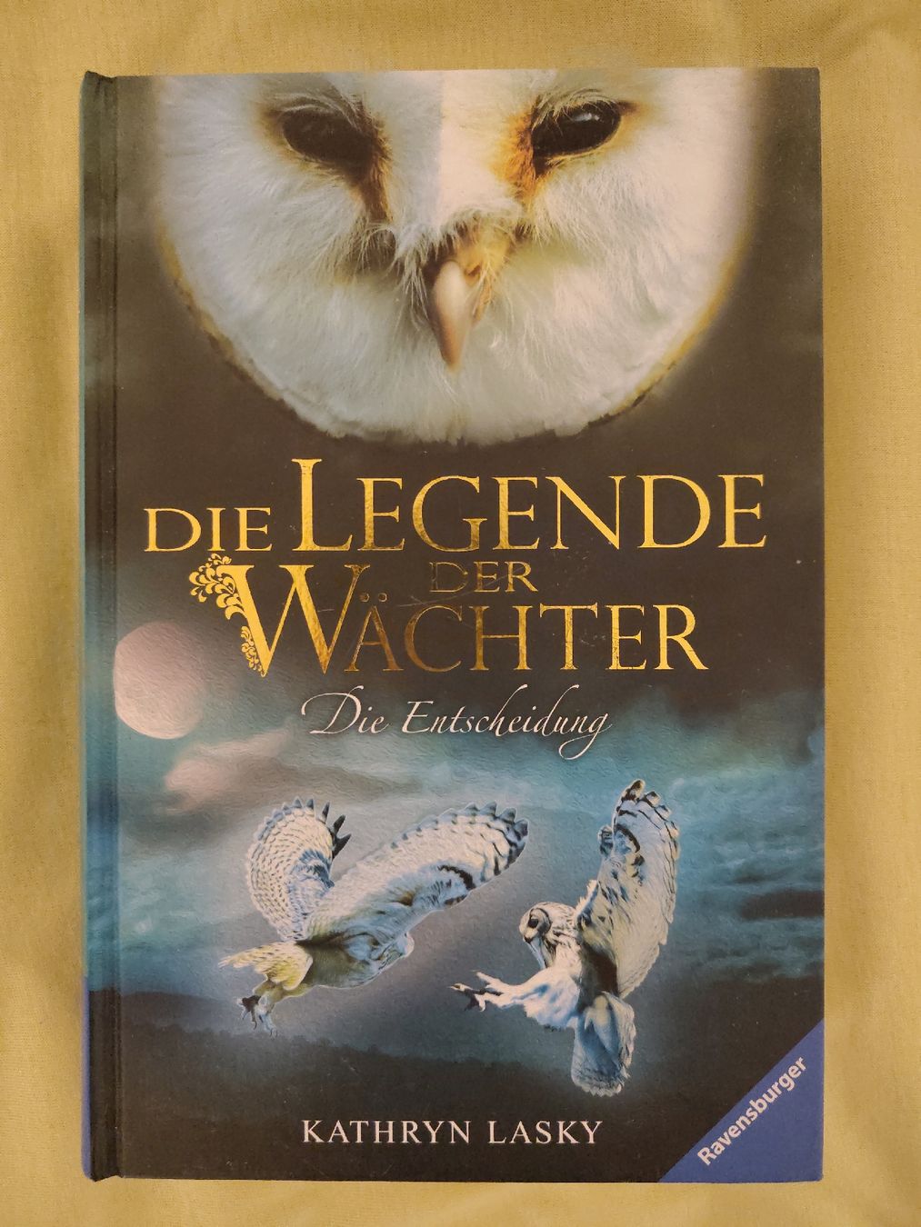 Livres: Die Legende der Wächter Bänder 7-15 – D'occasion à Burgdorf par allyyy 9