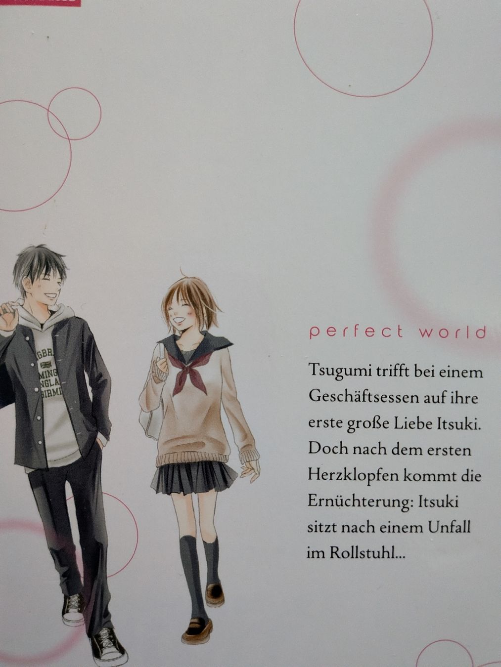 Fumetti: Perfect World Manga Komplett – Nuovo (secondo la descrizione) da Wädenswil venduto da Sumire22 1