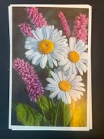 Alte Postkarte