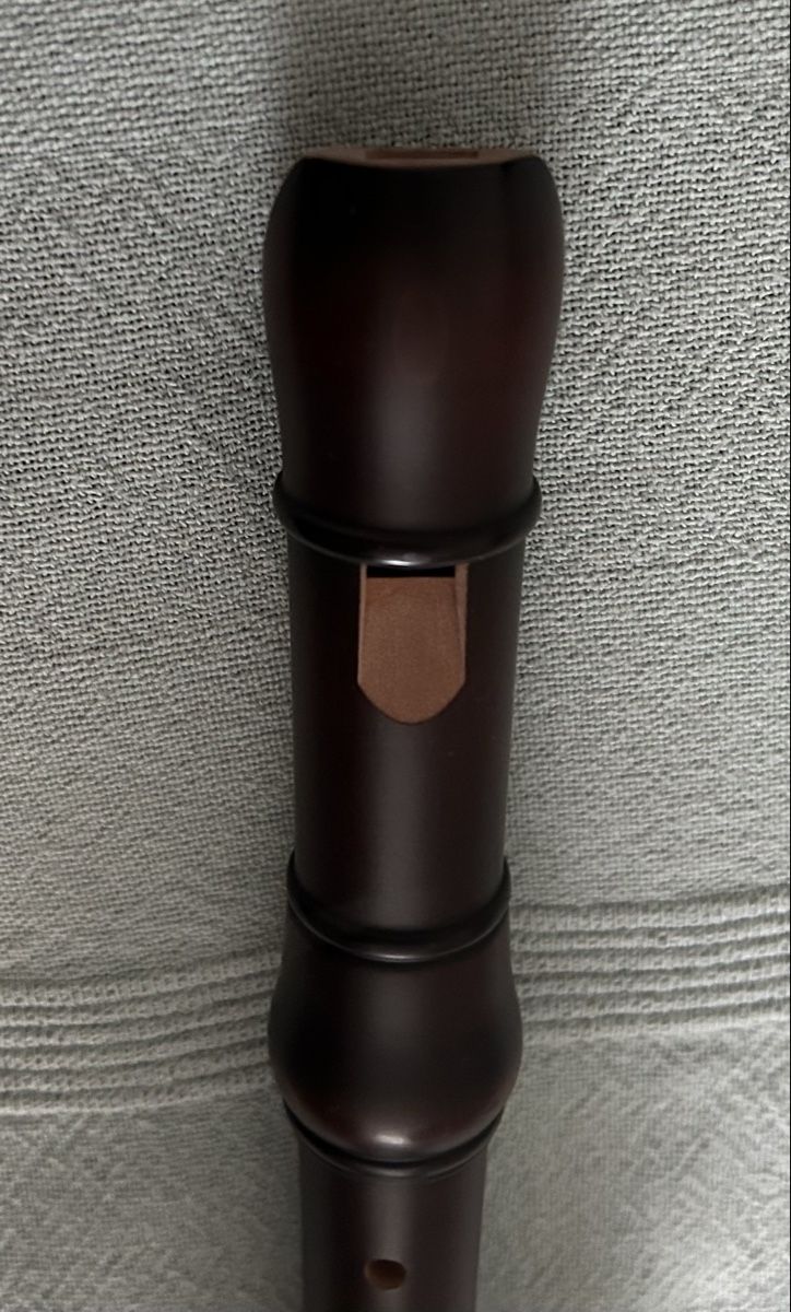 Strumenti musicali: Blockflöte Küng mit Etui und Heft – Usato da Vilters venduto da Nohausi77 3