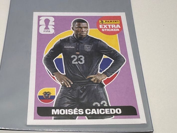 Panini Carte collezionabili: Panini Extra Sticker ECU Moises Caicedo – Nuovo (secondo la descrizione) da Kappel SO venduto da A.A.T