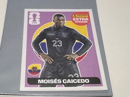 Panini Extra Sticker ECU Moises Caicedo