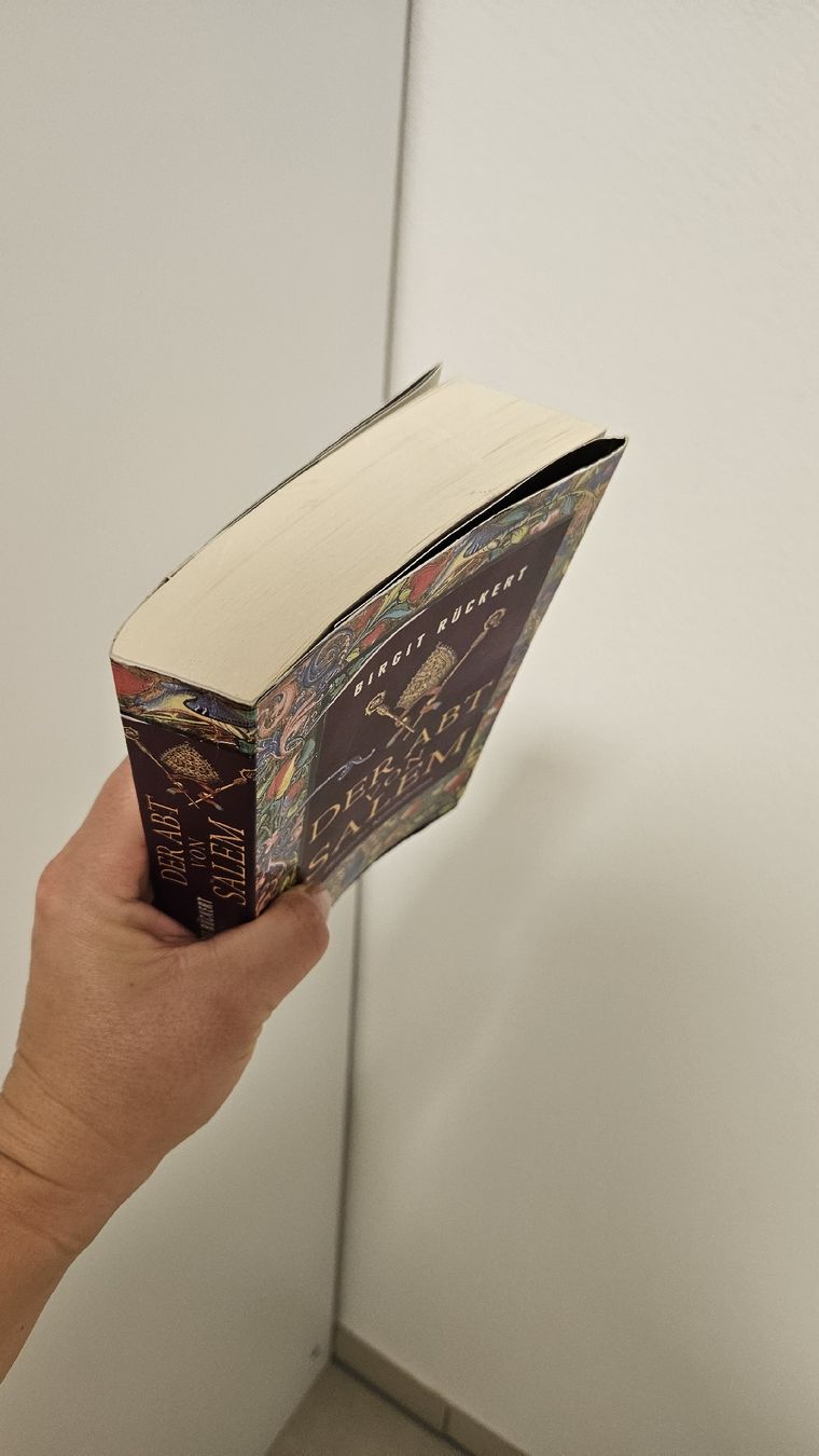 Libri: Buch Der Abt von Salem Birgit Rückert – Usato da Schaan venduto da car_wrv2 2