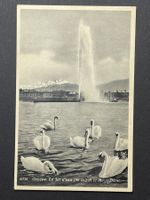 Genève - Le Jet d'eau