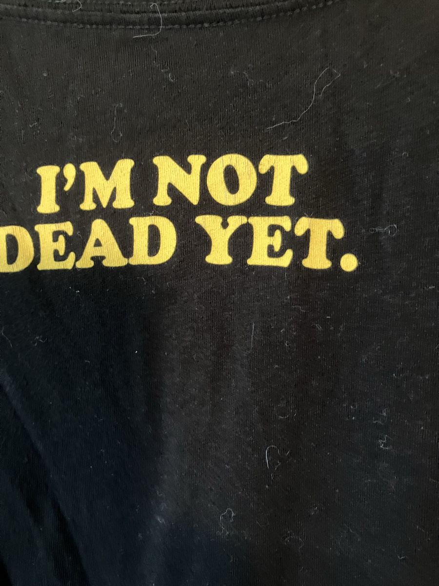 Vintage T Shirt Monty Python “Spamalot” Gr M (D'occasion) à Bassersdorf ...