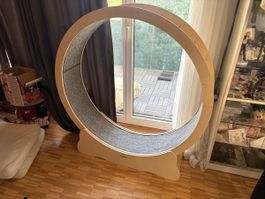 Katzenlaufrad Homegroove ungebraucht