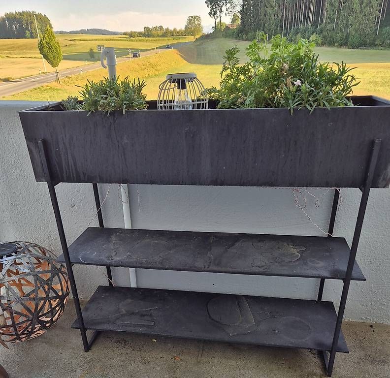 Pots de fleurs: Blumentrog – D'occasion à Lömmenschwil par soka13