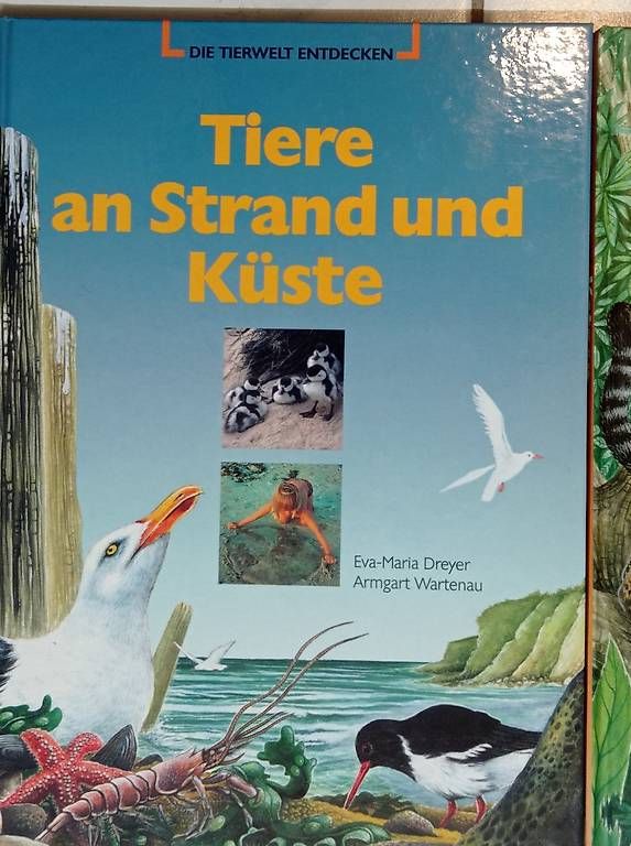 Libri: DIE TIERWELT ENTDECKEN – Usato da Flumenthal venduto da max4534 1