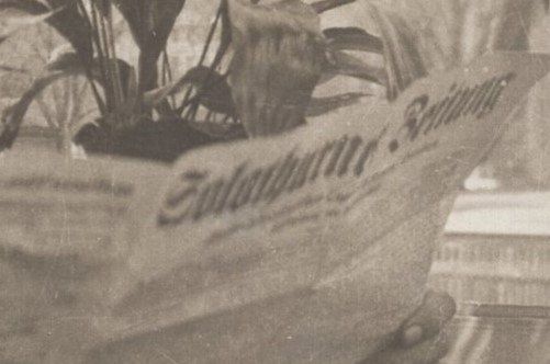 Cartoline postali: Mann mit Slothurnerzeitung  1923 – Usato da Aarau venduto da kufi44 2