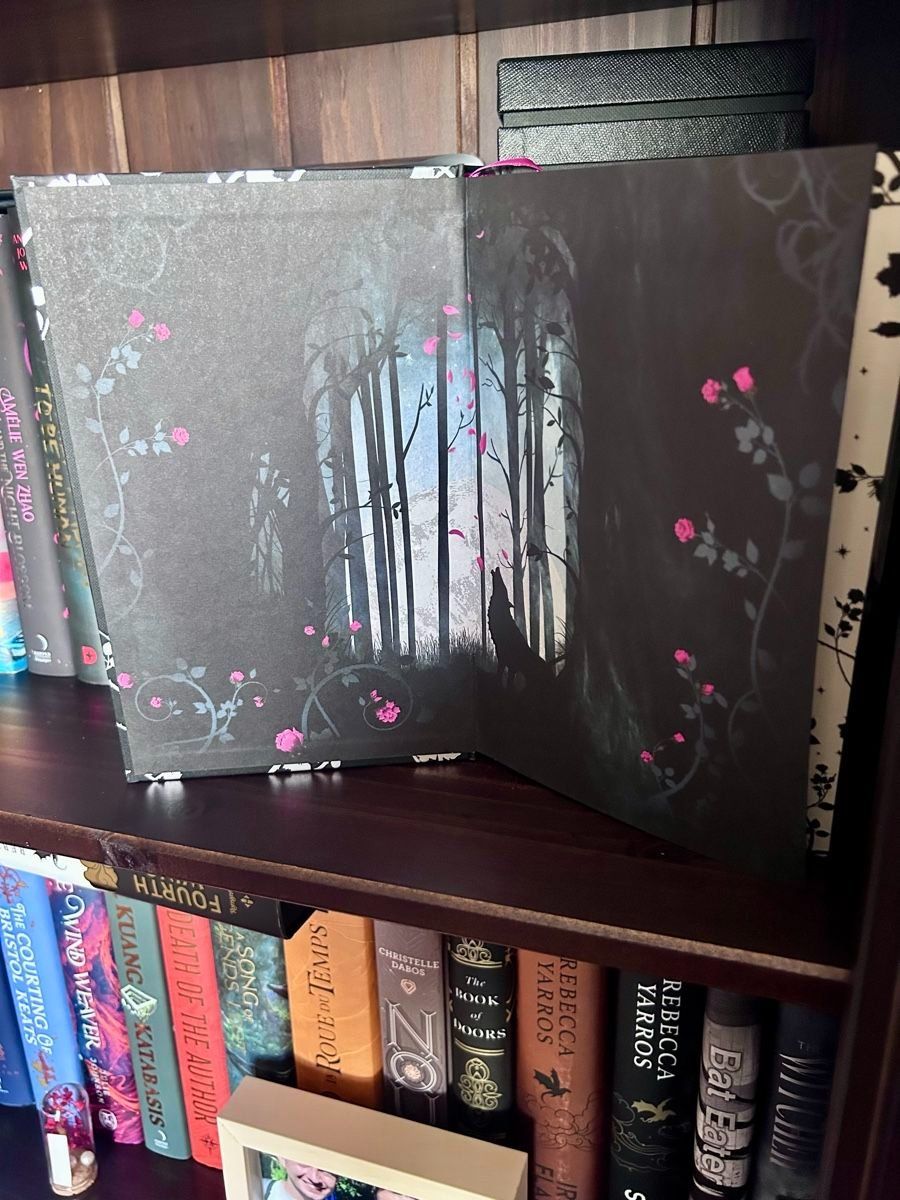 Libri: Bundle The Locked Library 2024 - The Spice Gate + Moonstone – Nuovo (secondo la descrizione) da Lausanne venduto da BookwormCH 3