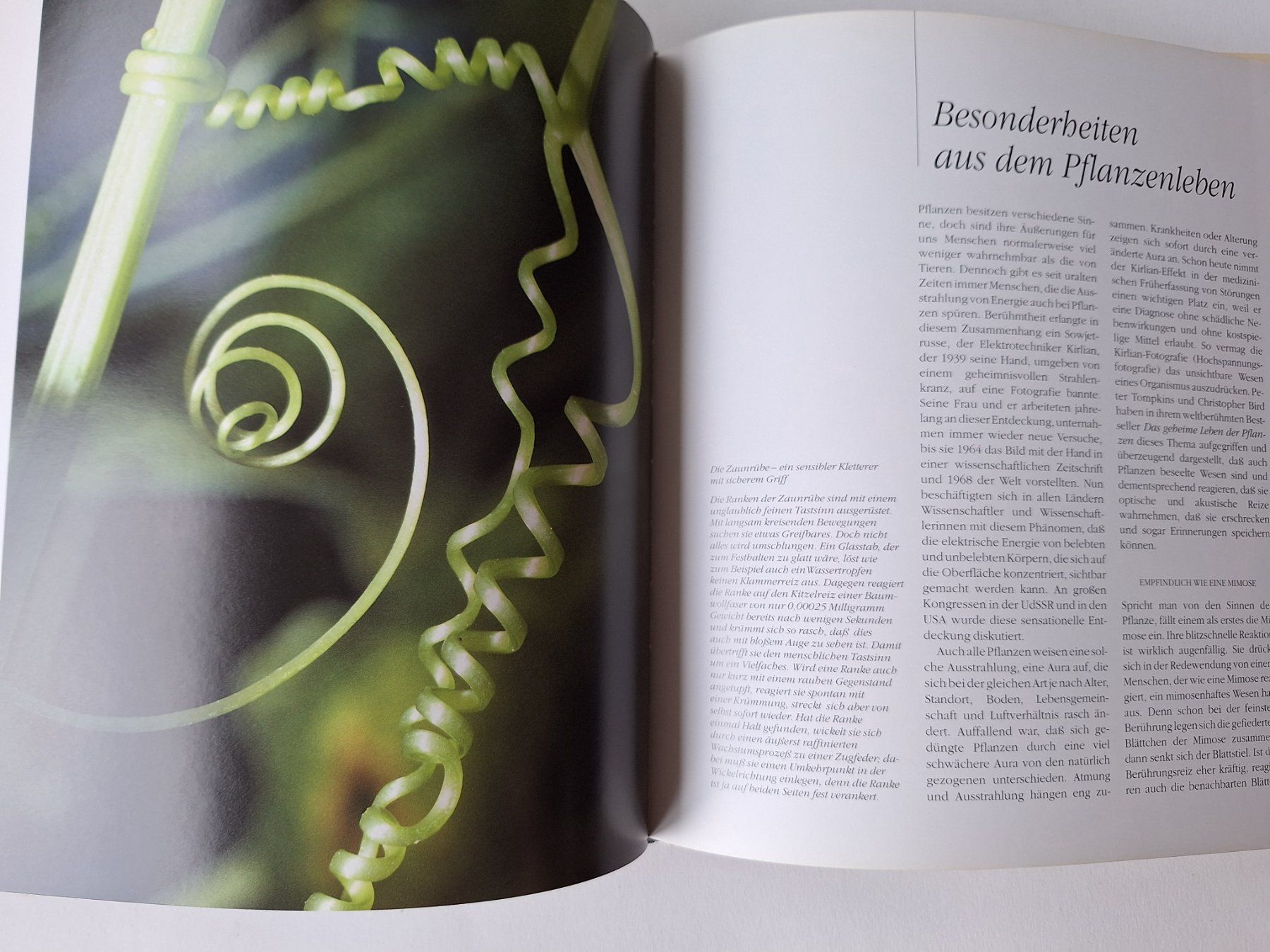 Libri: Geheimnisse unserer Pflanzen – Usato da Zürich venduto da t24_de 2