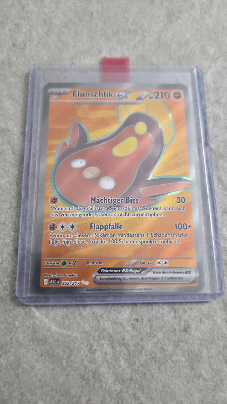 Pokémon Carte collezionabili: Mamutel & Flunschlik Full Art / Mega-Voltenso & Rexblisar Ex – Nuovo (secondo la descrizione) da Rorschach venduto da Craint 1