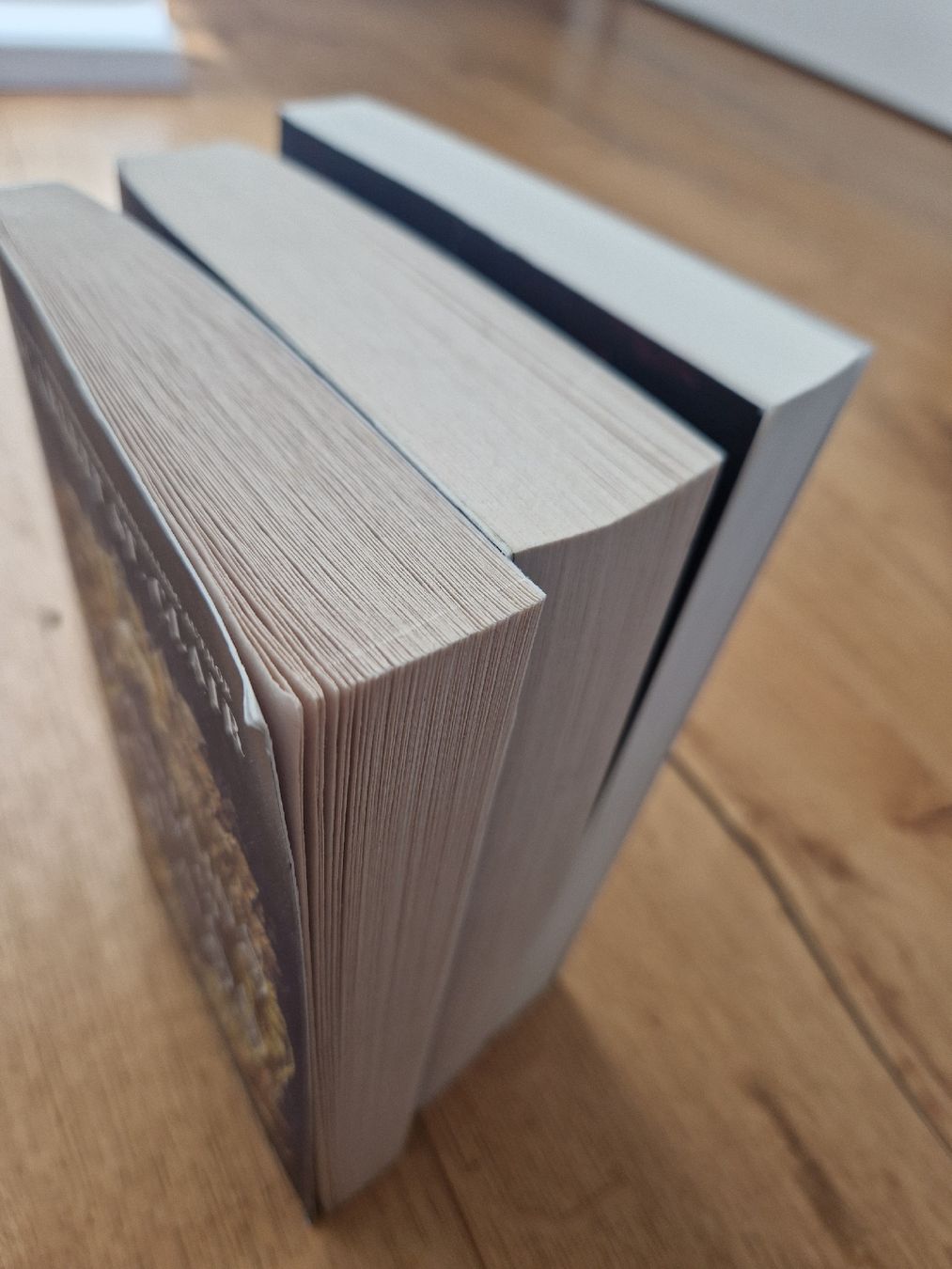 Libri: 3 Fantasy-Romane auf Englisch – Usato da Ruswil venduto da Angieee 3