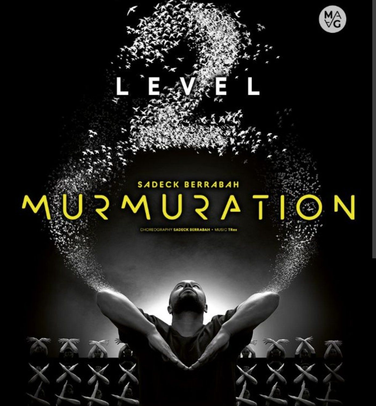 Tickets: 2x Tickets 1. Kat. Murmuration Level 2-19.06.26 PREIS FÜR  2 – Neu (gemäss Beschreibung) aus Zürich von Claudia_Zueri