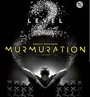 2x Tickets 1. Kat. Murmuration Level 2-19.06.26 PREIS FÜR  2