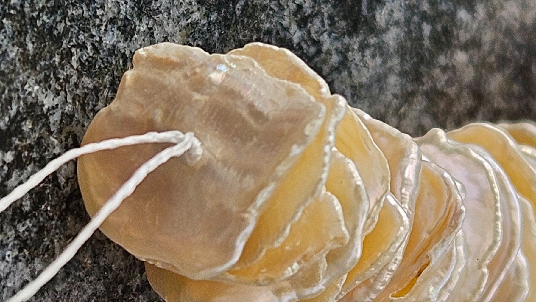 Perle (finte): Keshi Perlen (Cornflakes) – Nuovo e nell'imballaggio originale da Meyriez venduto da Zigzagzug 2