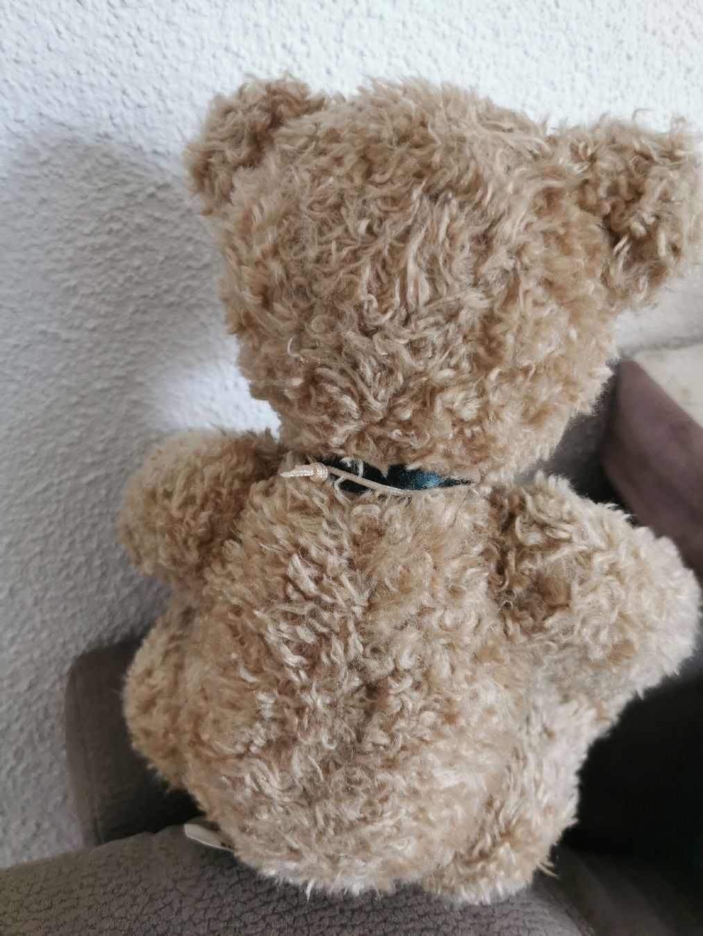 Giocattoli: Althans Club Bär "Bobby"  – Nuovo (secondo la descrizione) da Stansstad venduto da ramschliese 1
