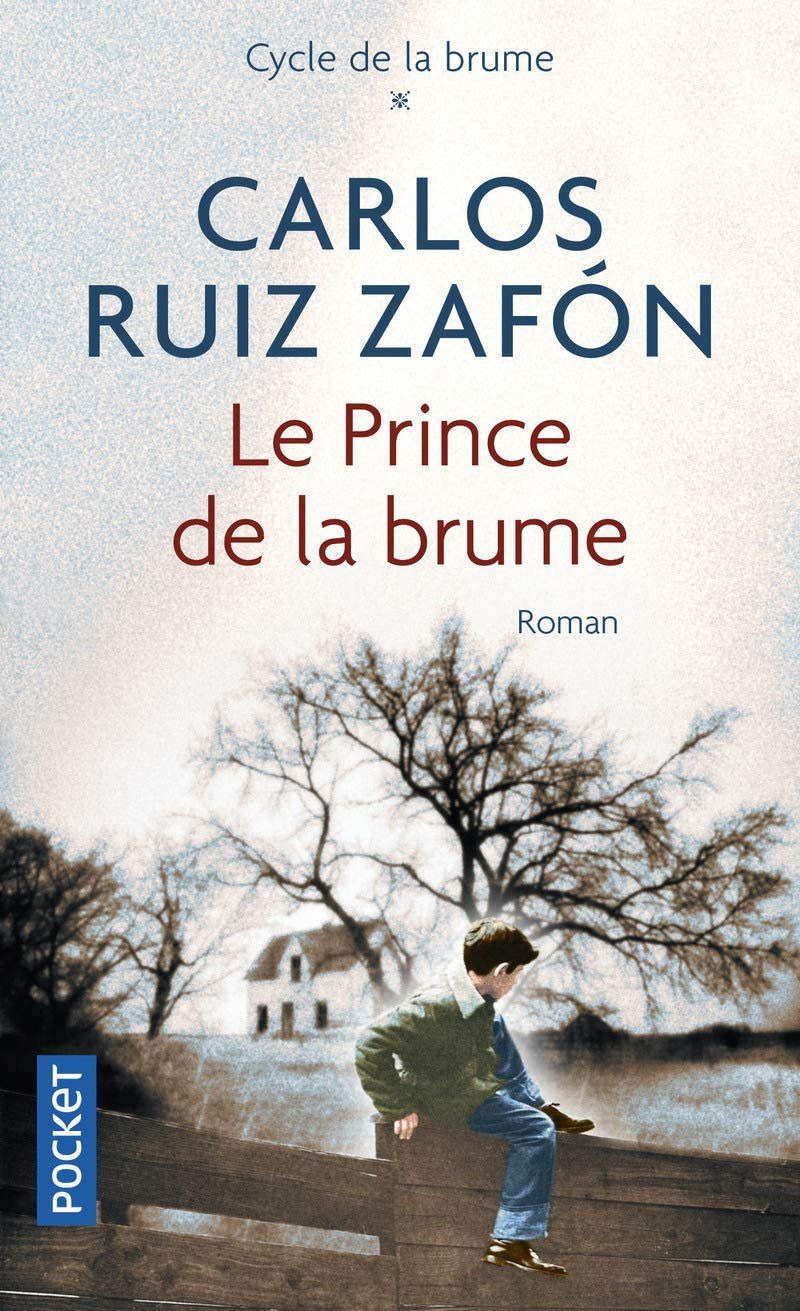 Libri: Le Prince de la brume – Usato da Neuchâtel venduto da Dualseele