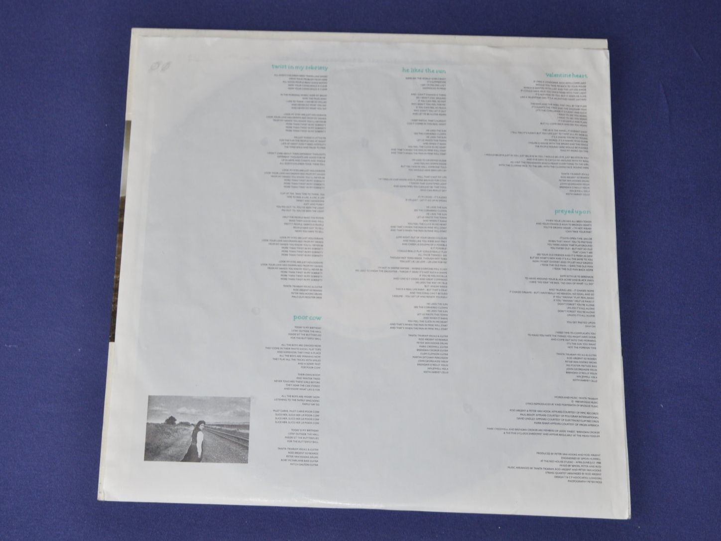 Schallplatten: LP Tanita Tikaram - Ancient Heart – Gebraucht aus Boll von Theodora15 3