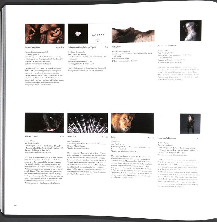 TIM FLACH GANZ NAH. Porträts von Tieren 🐼 Knesebeck WIE NEU (Neu ...