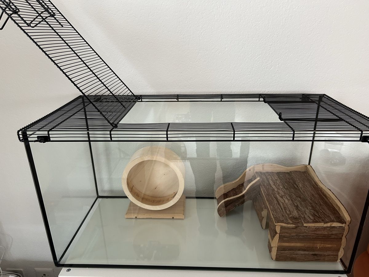 Terrario: Terrarium aus Glas – Usato da Neu St.Johann venduto da har_f865 1