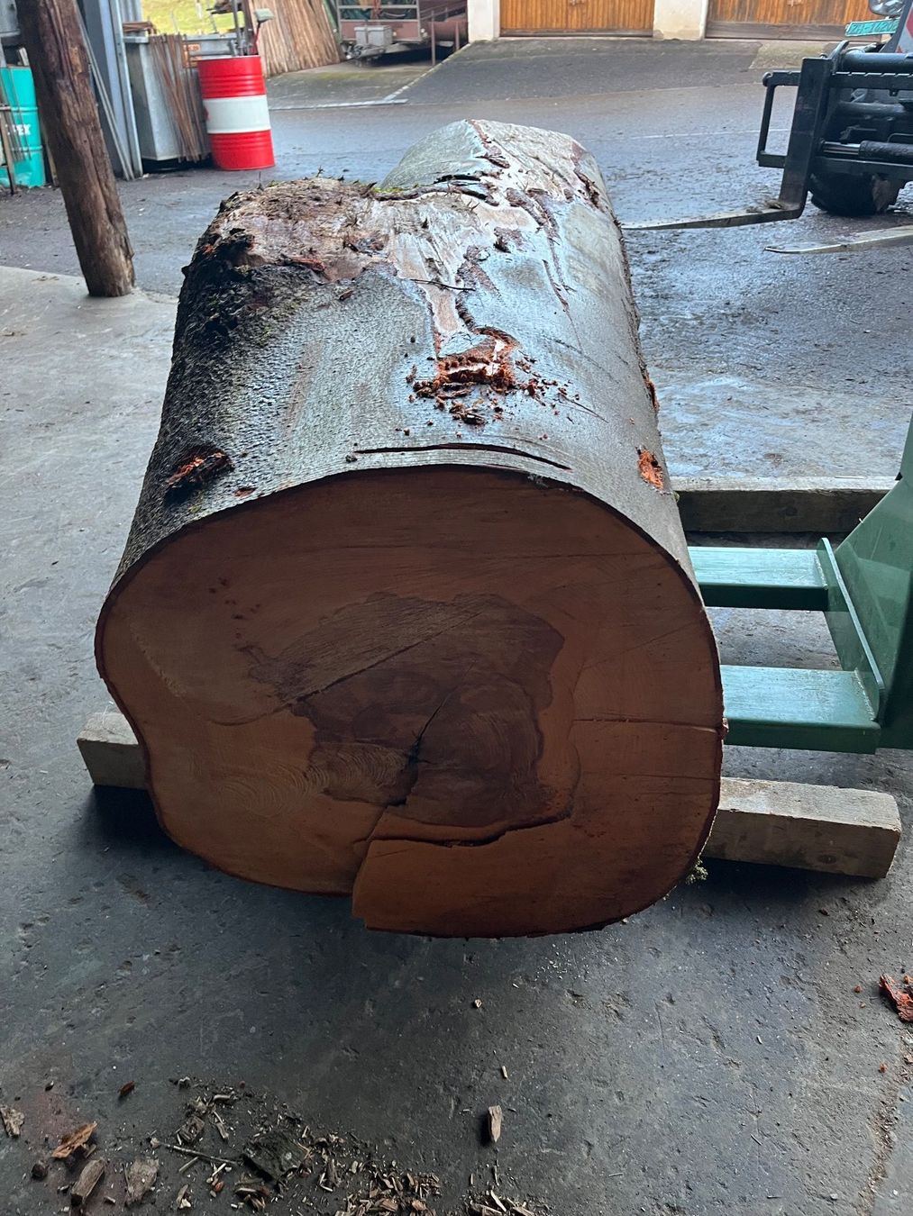 Articles en bois: Buchenklotz,Astgabel, Dekoration – Neuf (Voir description) à Nürensdorf par Peterhakab 4