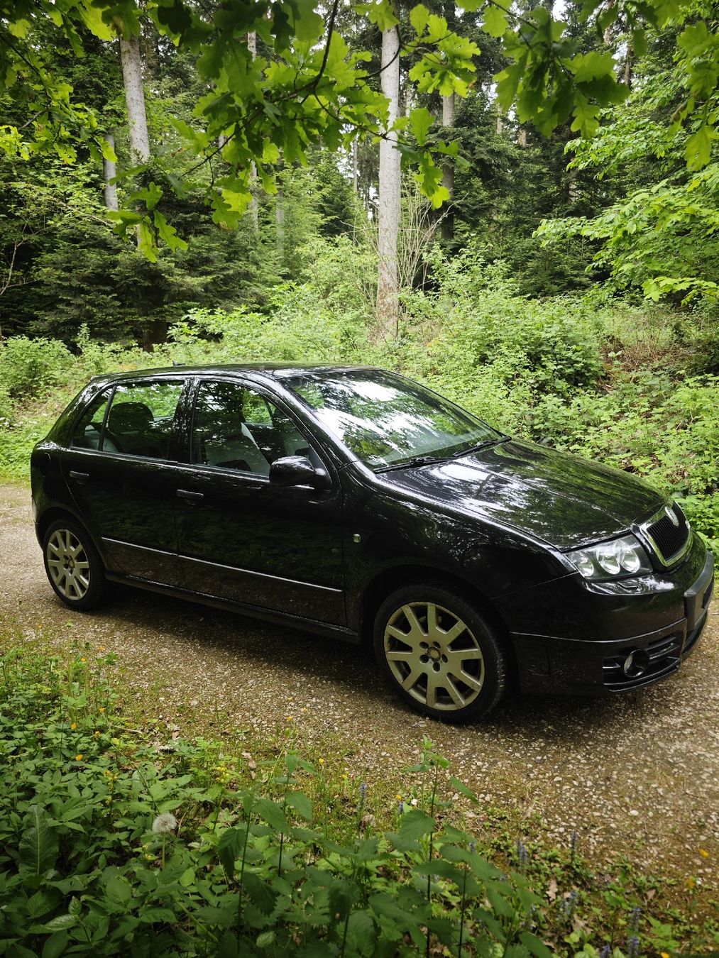 Skoda Automobili: Ab 1.- Skoda Fabia RS 1.9 TDI 2003! – Usato da Brittnau venduto da ThomasKTM 1