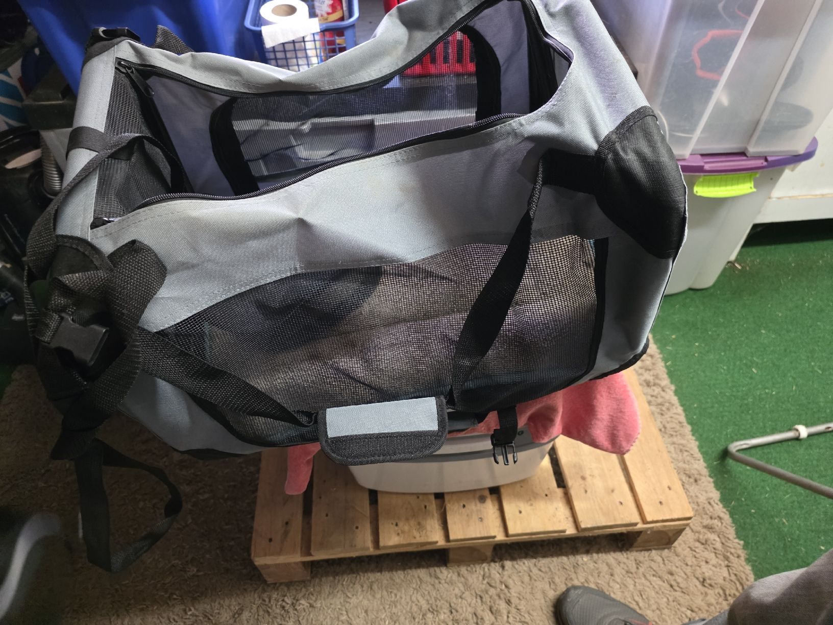 Gabbie, trasporto & Sicurezza: Hundebox – Usato da Schübelbach venduto da orson82