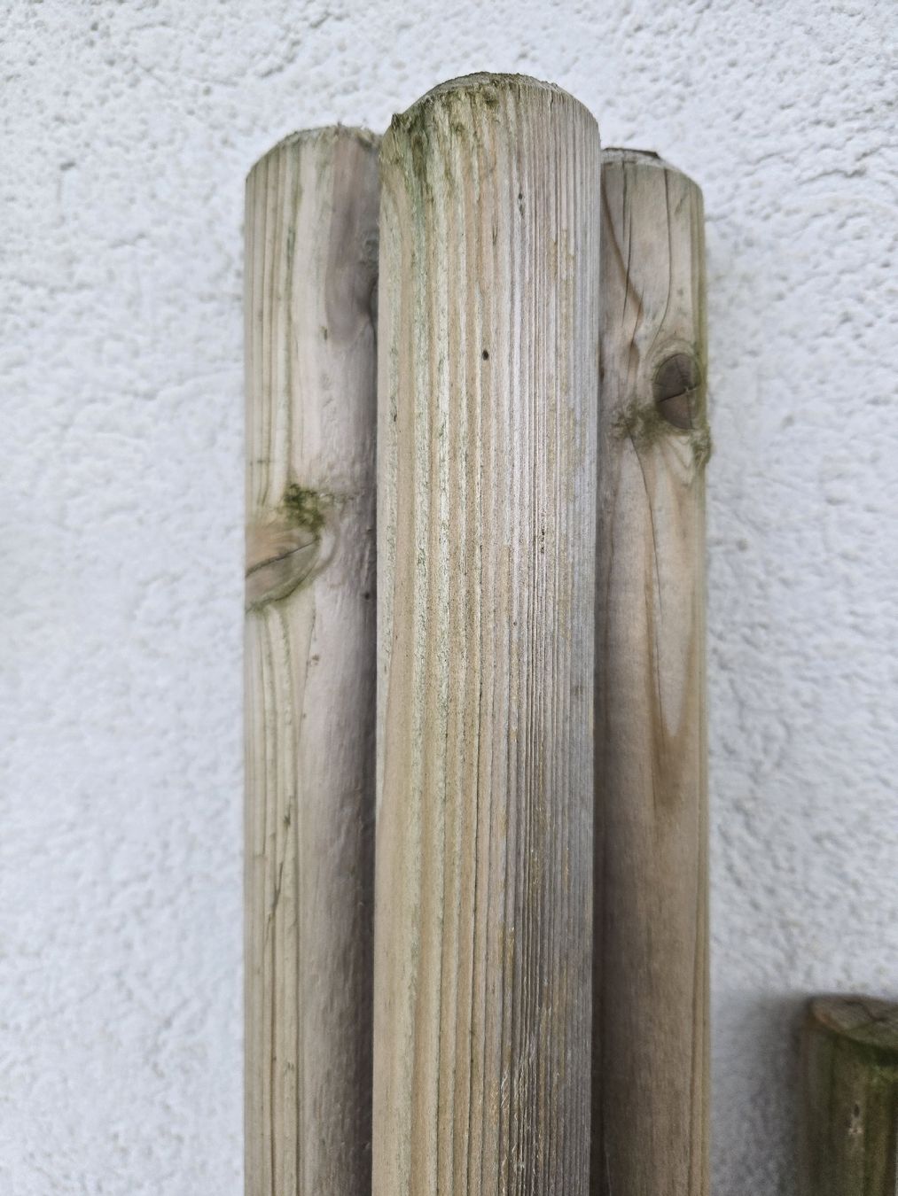 Articoli in legno: Holzpfahl 3x 150cm×4.5cm – Usato da Plasselb venduto da Vanitasbay
