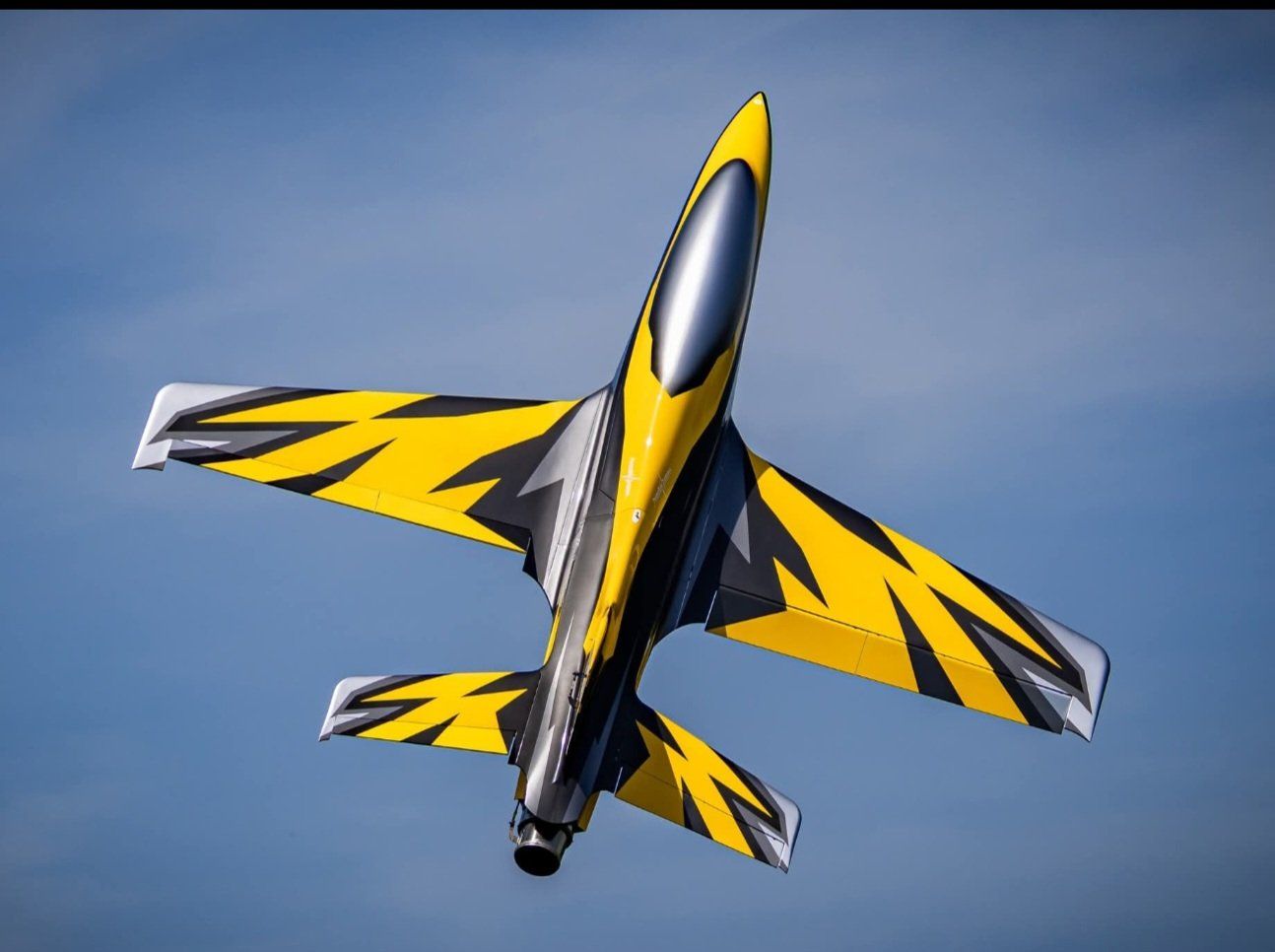 RC Modellbau: Falcon 2.8m 3d jet skywing – Gebraucht aus Môtiers NE von Antho330