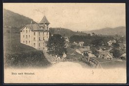 Weissbad, Blick nach Weissbad, mit Ziege