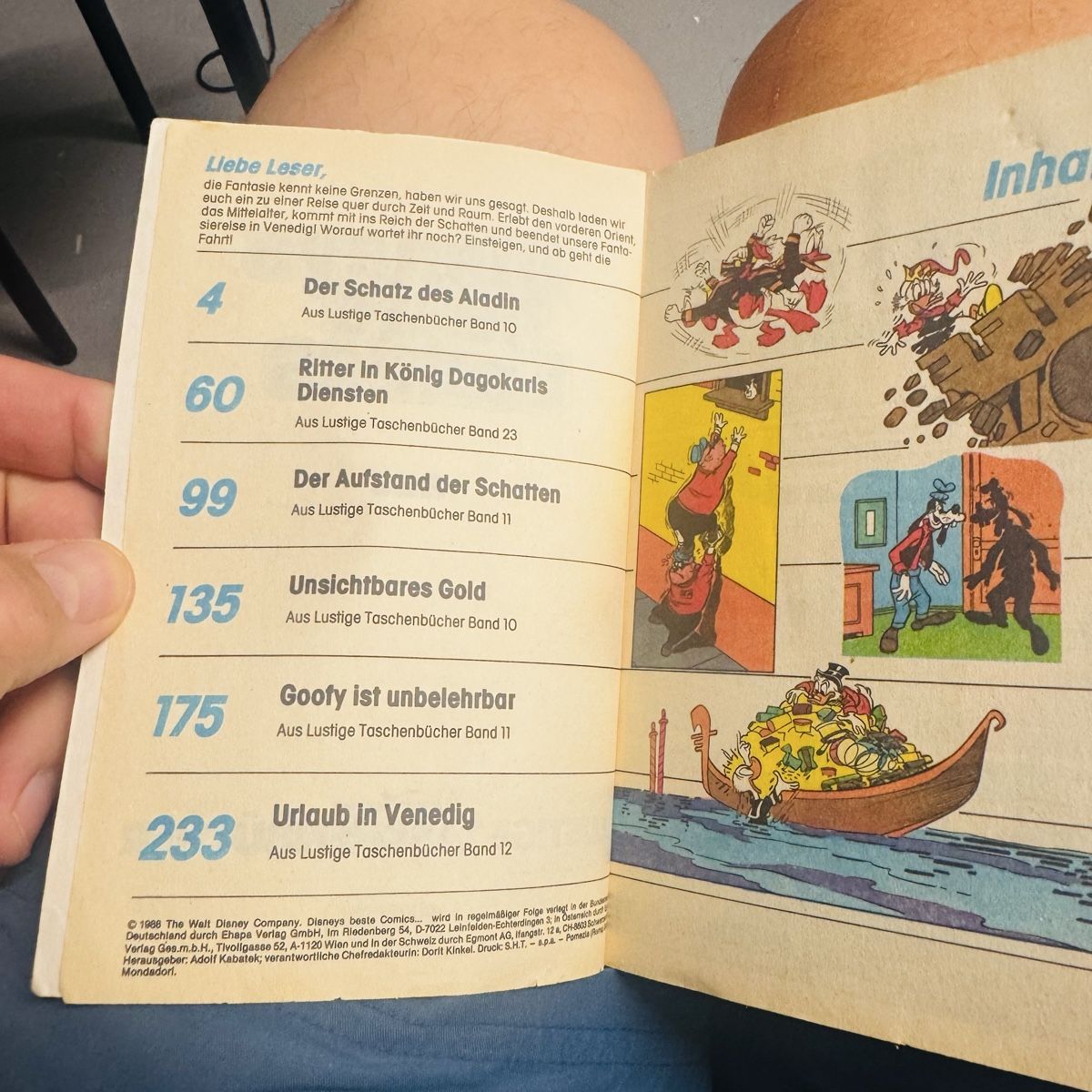 Fumetti: LTB 11 Stk – Usato da Solothurn venduto da Simuz 2