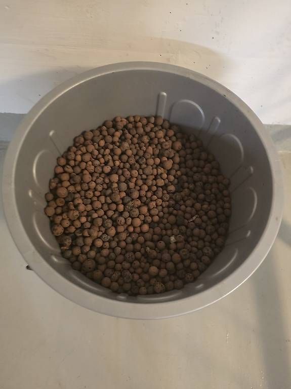 Altro per la casa: Bläton Kübel 23Liter – Usato da Niederweningen venduto da ste_7rdz 1