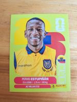 Panini FIFA World Cup ECU 5