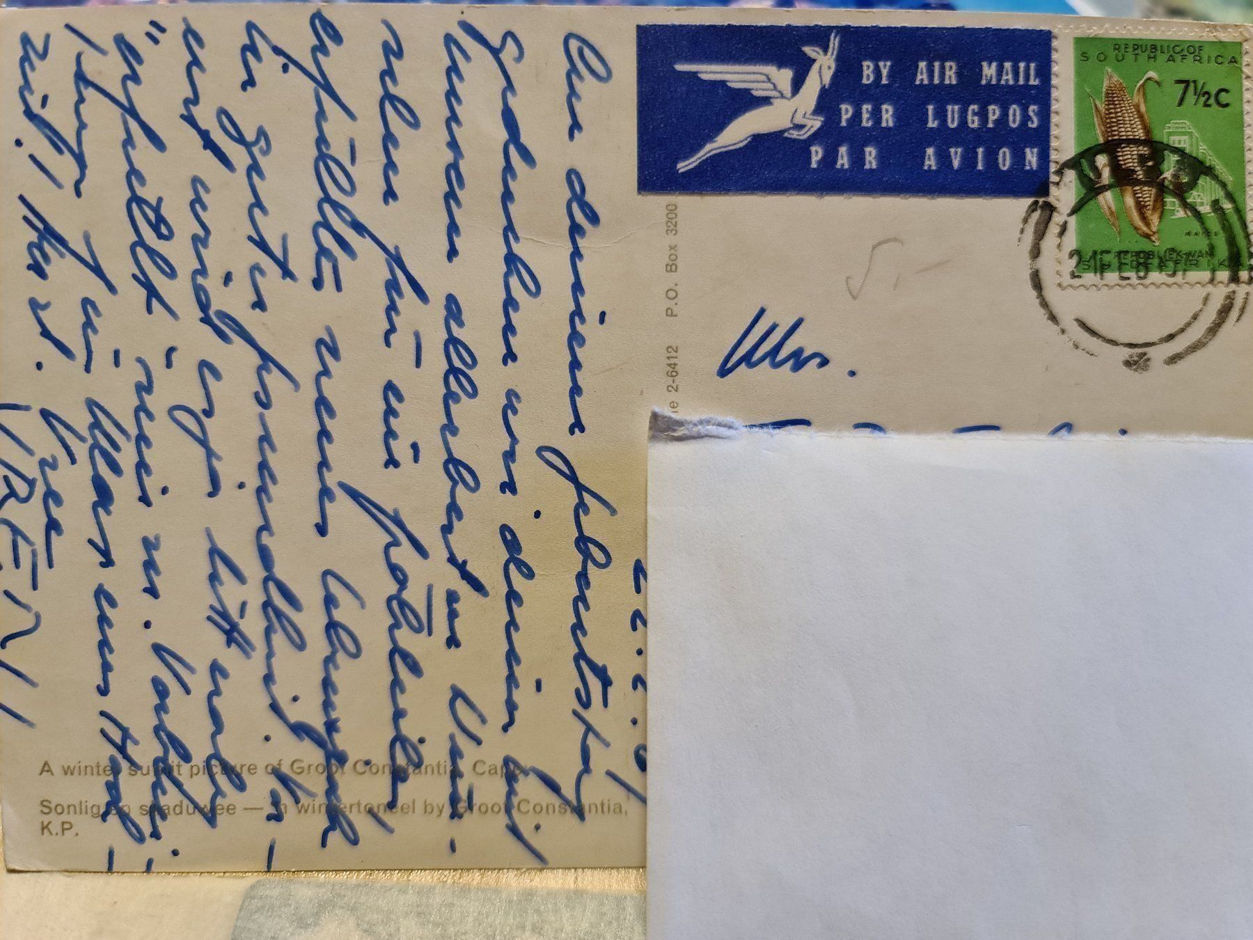 Cartoline postali: Ansichtskarte Groby Kapstadt Südafrika – Usato da Dintikon venduto da Vexi 1