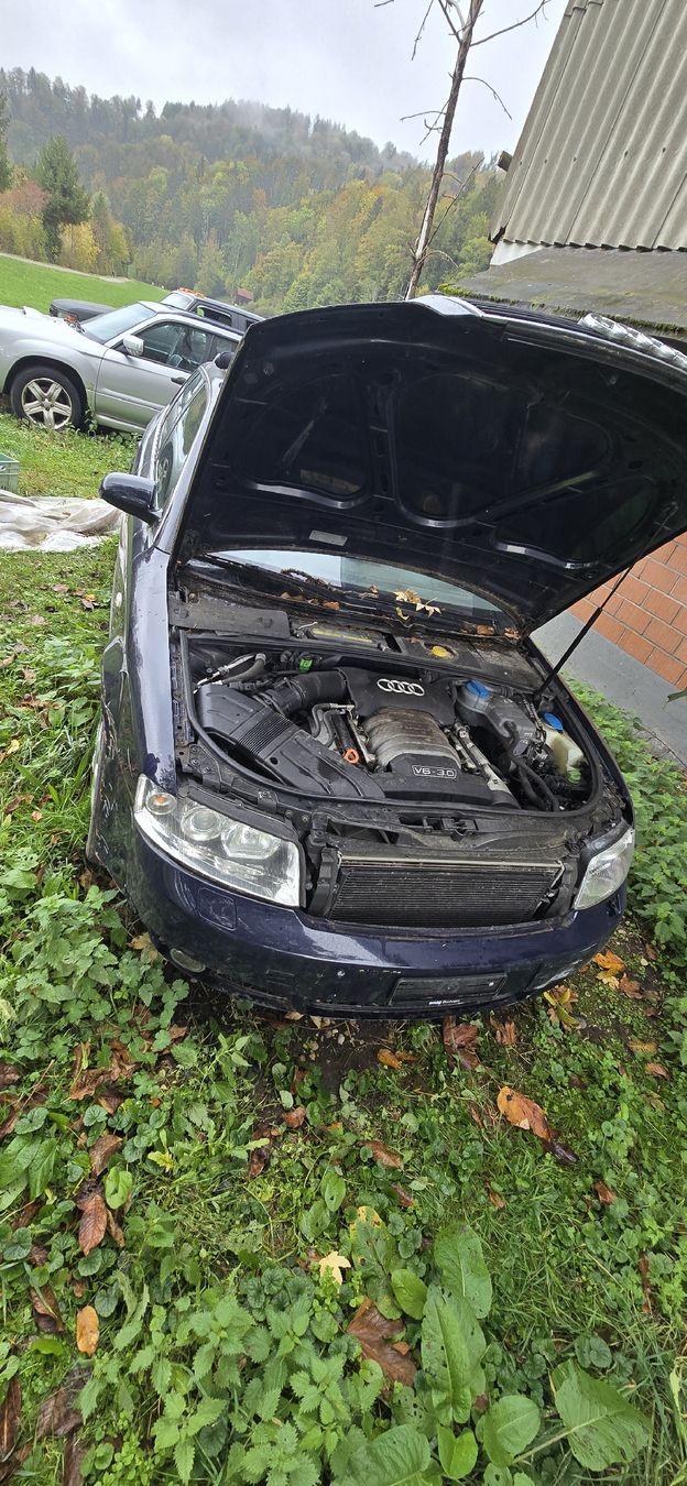 Audi Autos: Audi  a4 b6 3.0 – Defekt aus Steg im Tösstal von 12case55 6