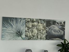 Bilder (16 Bilder und 12 Bilderrahmen Gallery)