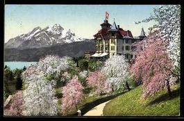 Weggis, Hotel Alpenblick mit Pilatus w