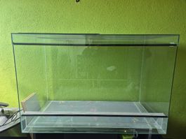 Grosses Terrarium 120x60x80 zu verkaufen. 