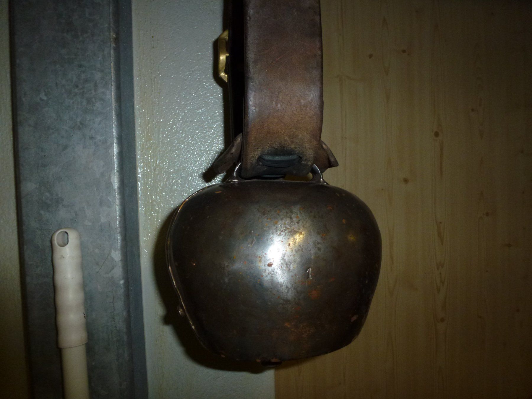 Morier Campanacci mucche: P.MORIER – Usato da Bürglen UR venduto da daisyxy5 7