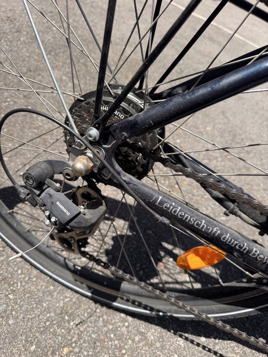 Biciclette: E-Bike Tegernsee  – Usato da Schaanwald venduto da Super113 4