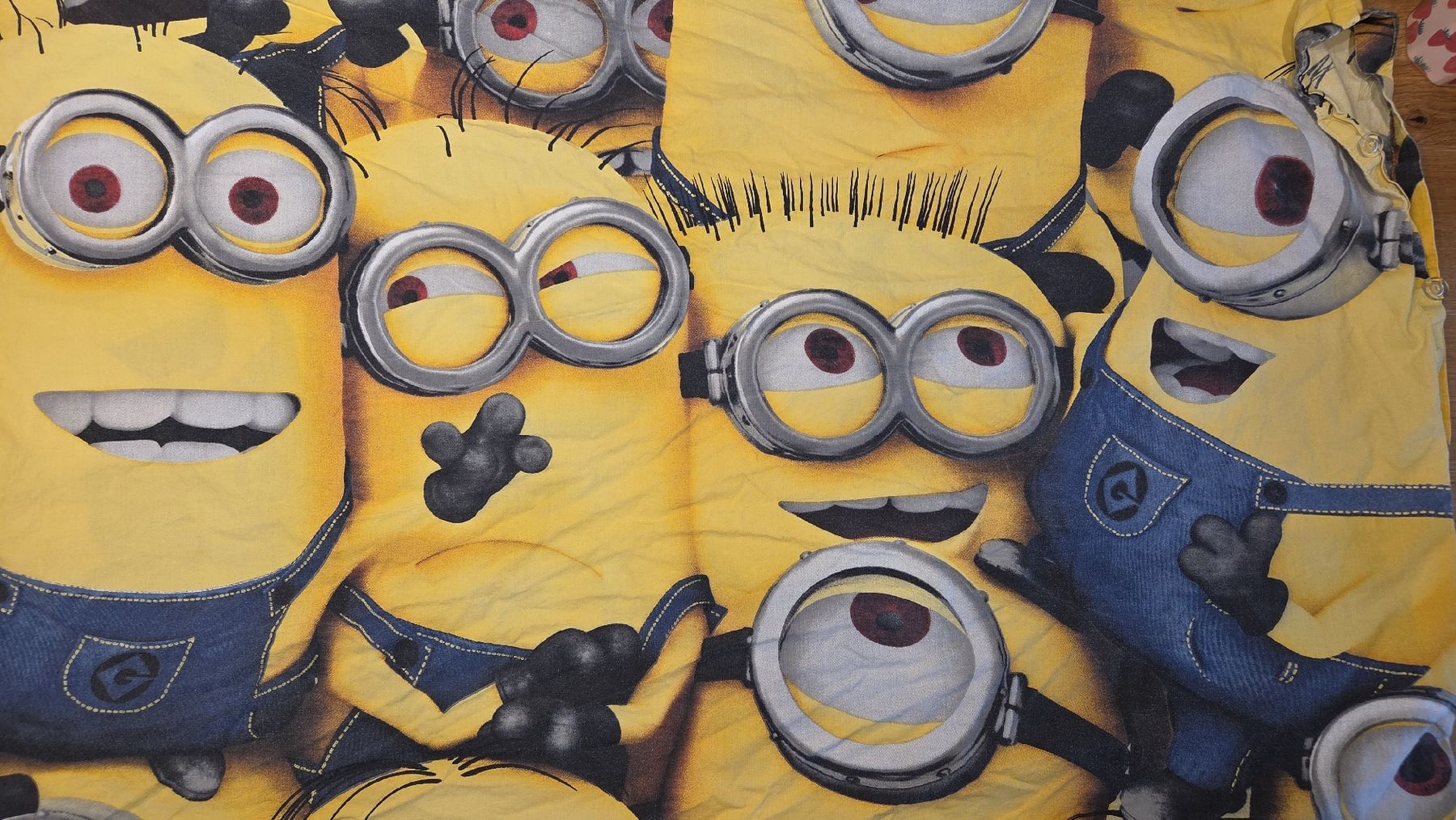 Biancheria da letto: Bettwäsche von Minions – Usato da Bargen BE venduto da pin_cgj5