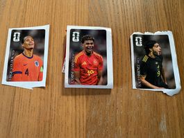 10 Stück Panini Cola 2026 Kleber