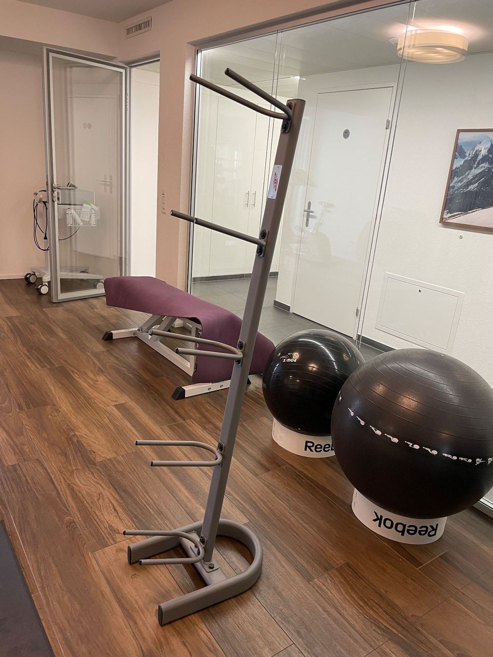 Altro in Decorazioni & Accessori: Ballständer – Usato da Embrach venduto da Smart0 2
