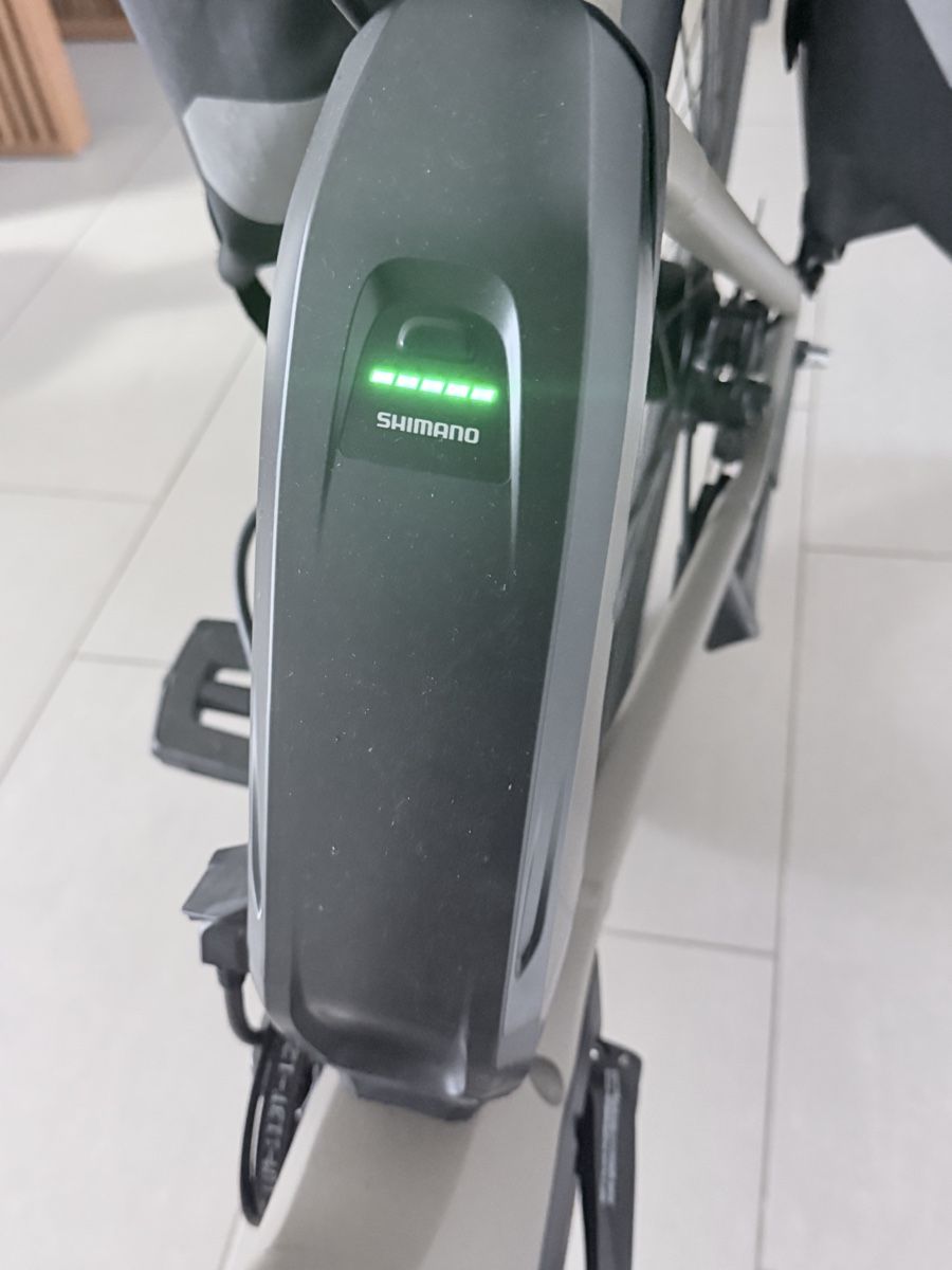 Biciclette: BMC alpenchallenge AMP E-Bike – Usato da Zürich venduto da arb_9qhc 7