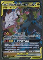 Reshiram & Zekrom GX RR Tag Team CH ab 1.-