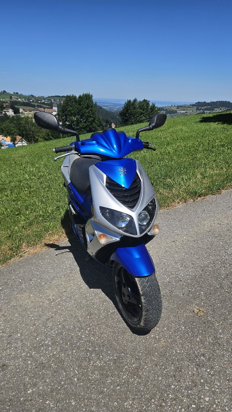 Peugeot Scooter: Peugeot Speedfight Roller 50ccm – Usato da Trogen venduto da hae_g56c 1
