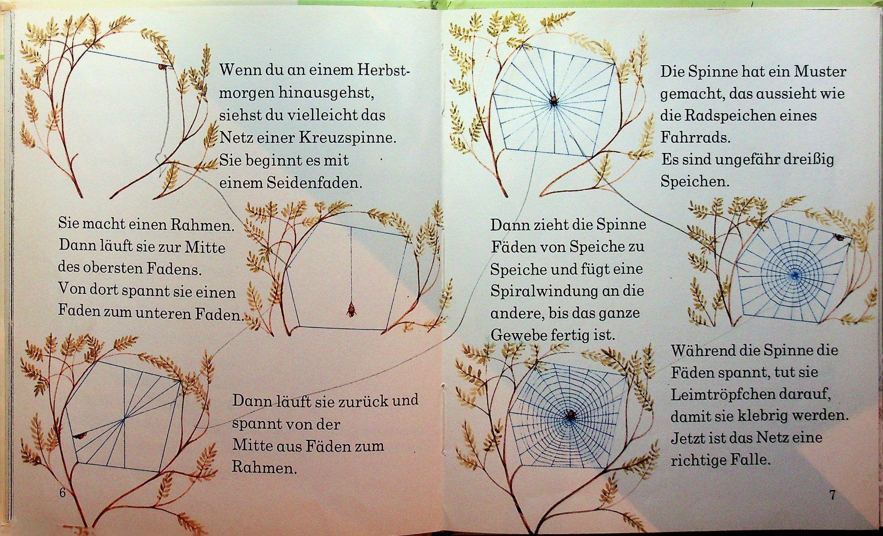 Libri: Spinnen   Brönner Kinderbücher 1972 – Usato da Reitnau venduto da Zaomir 6