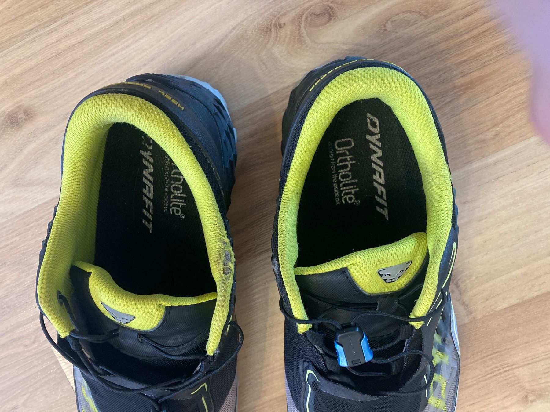 Dynafit Scarpe da uomo: Dynafit Feline SL – Usato da Villeneuve VD venduto da did_pxf2 2