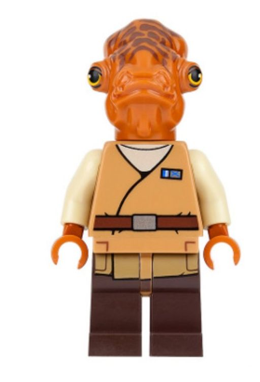 Custom Umhang Für Minifigur, Schulterbedeckend, Orange, 1,95